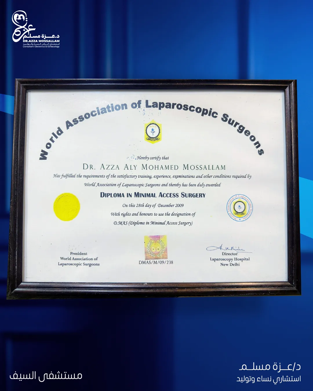 الرئيسية 13 certificate 3